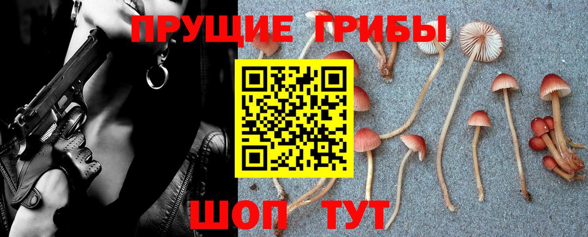 Псилоцибиновые грибы Cubensis Муром