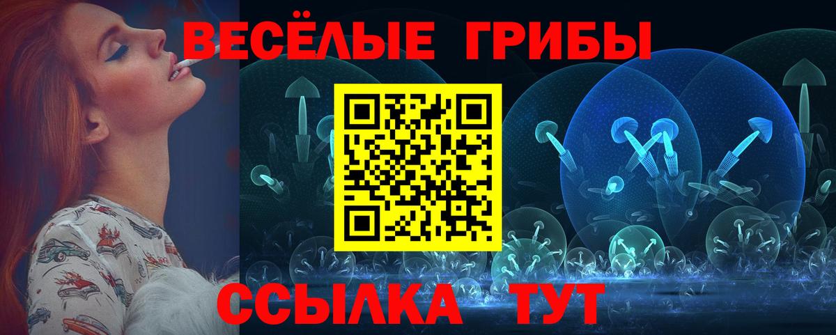 Муром  Галлюциногенные грибы MAGIC MUSHROOMS  Вход с VPN 