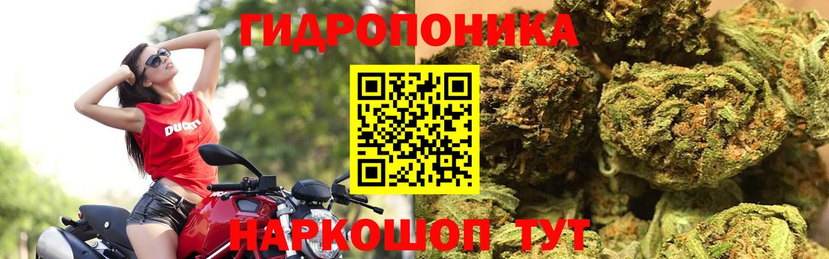 Шишки марихуана конопля  Шишки марихуана конопля  Муром  Вход с VPN  Бошки марихуана ГИДРОПОН 